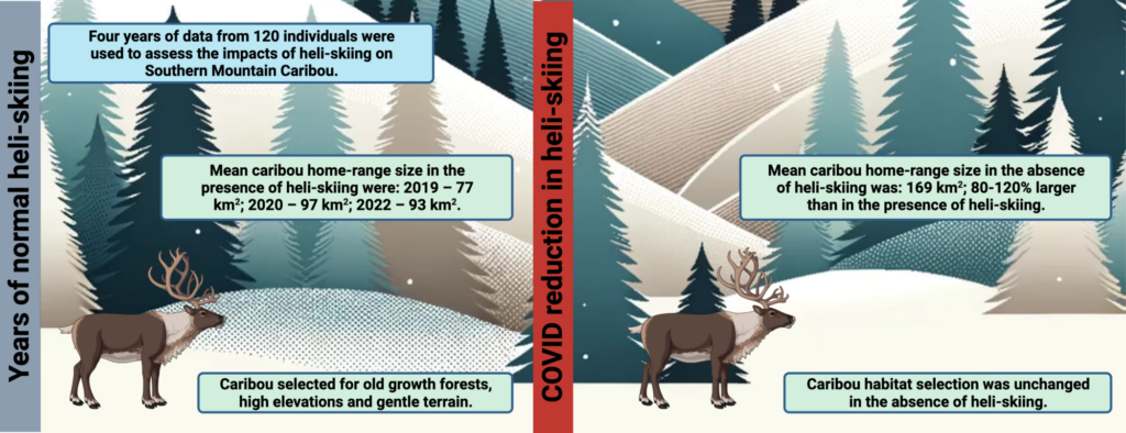 Caribou Graphical Abstract ACV